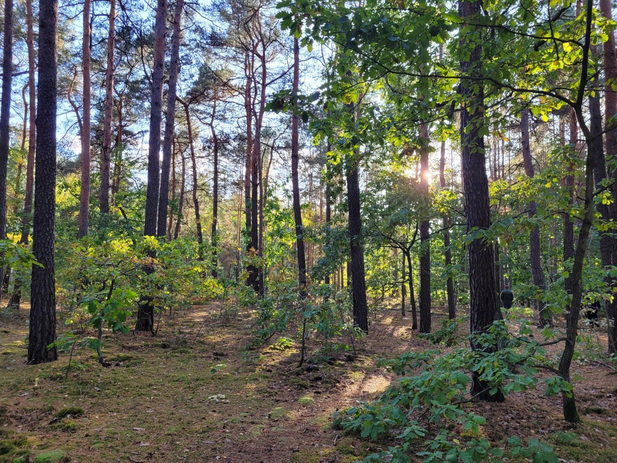 Park *
